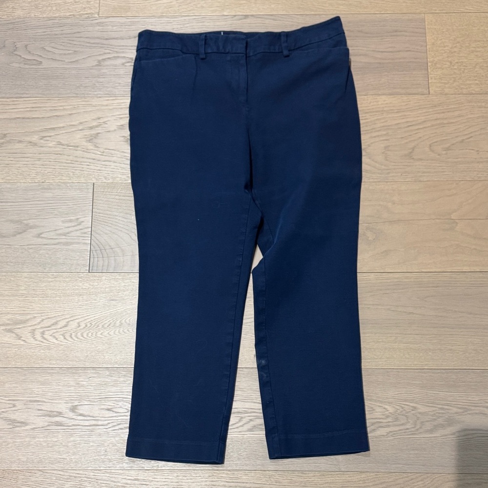 Ann Taylor Factory Navy Capris